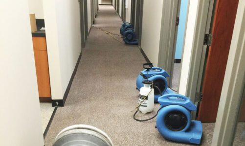 The Benefits of Commercial Carpet Cleaningin Melbourne VIC